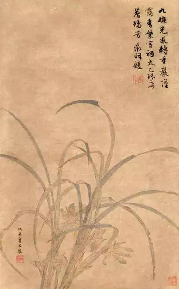 x05.jpg
