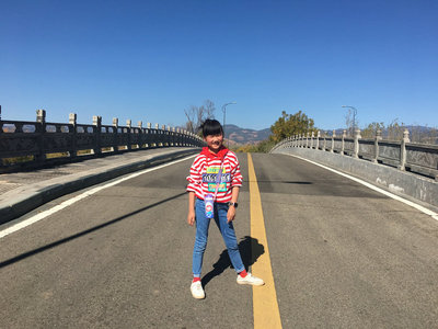 文章附图